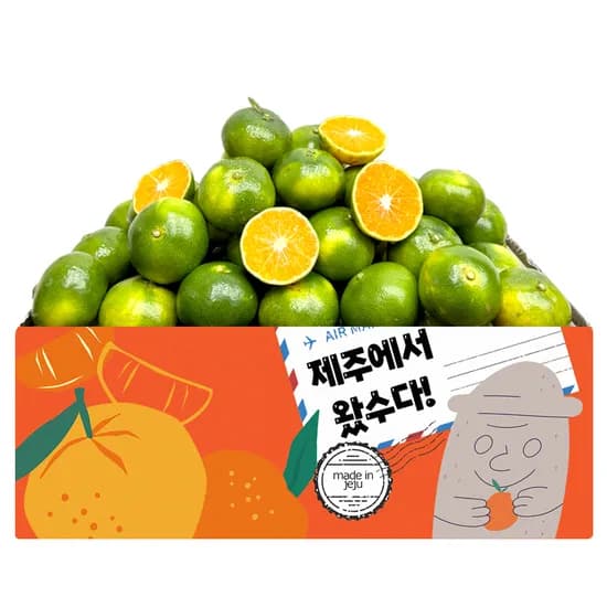 제주 햇 극조생귤 혼합(2S-L) 4kg 1박스