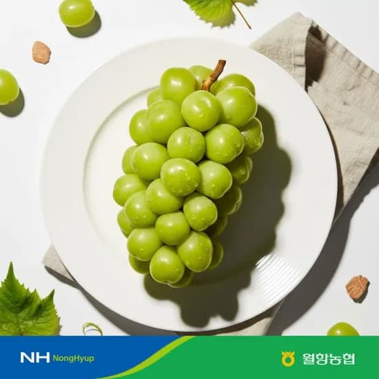 월항농협 고당도 샤인머스켓 특품 2kg(3-4수) 12,160원