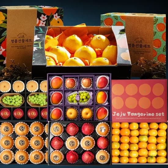 새코롬 제주 황금향 선물세트 2.6kg 10-12과