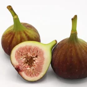 달콤톡톡 영암 생 무화과 홍무 화과 1kg