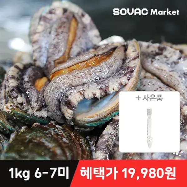 완도 활 전복 1kg 6~7미