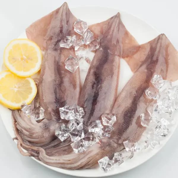 원양산 손질통오징어 220g(2미) 3팩