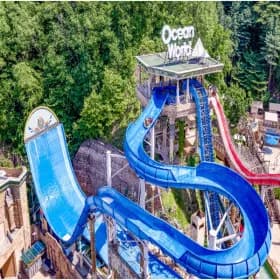 오션월드 종일 입장권 1인 구명조끼 포함 24,300원