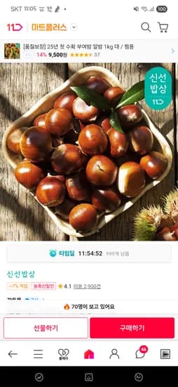 부여 햇 밤 중크기 2kg