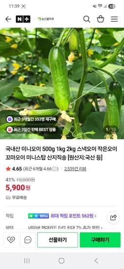 국내산 미니오이 500g