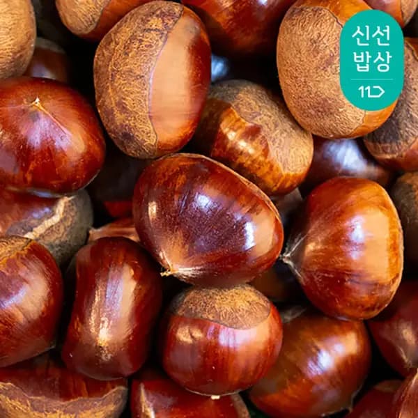 국산 부여 햇밤 대사이즈 2kg