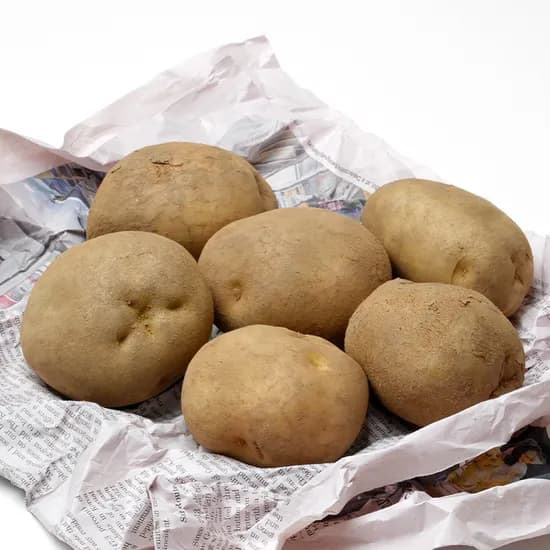 픽커 무농약 강원도 감자 3kg