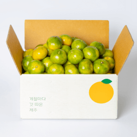제주 타이벡노지감귤 3kg