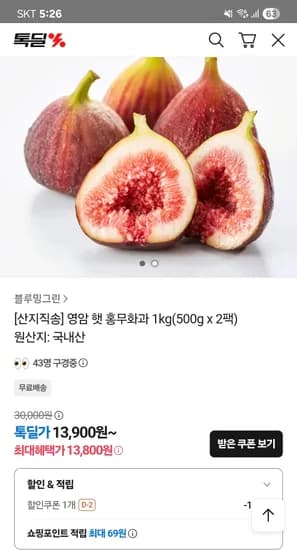 영암 햇 홍무화과 500g x 2팩
