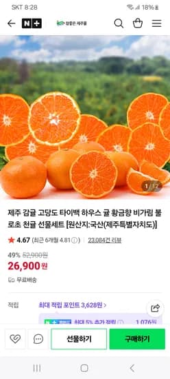제주 불로초 노지감귤 2kg