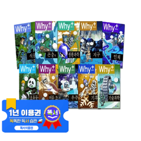 와이시리즈 대규모 세트 플러스