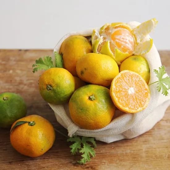 제주 극조생 노지감귤 4.5kg 2S S