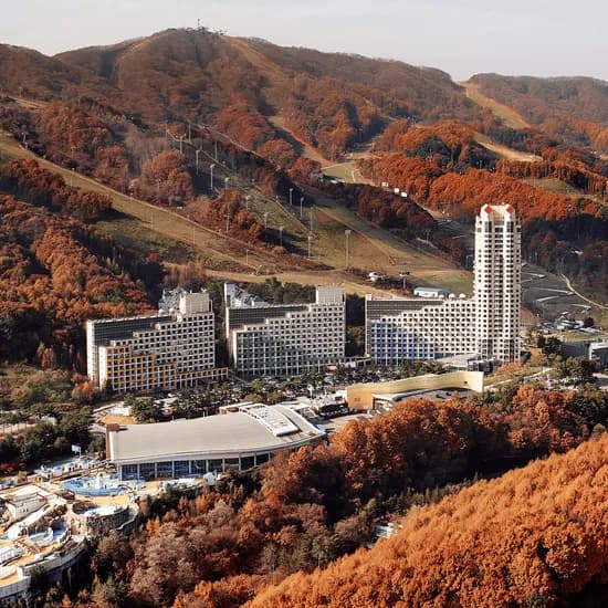 휘닉스 평창 패키지