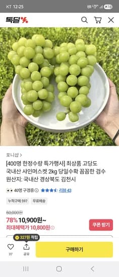 샤인머스켓 2kg