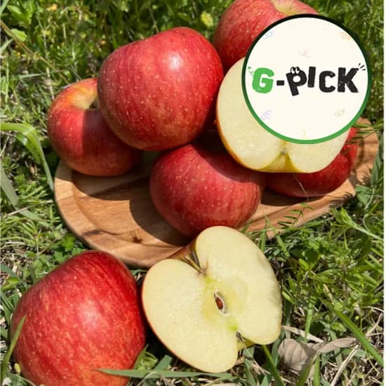 경북 청송 홍로 꿀사과 3kg 18-22과