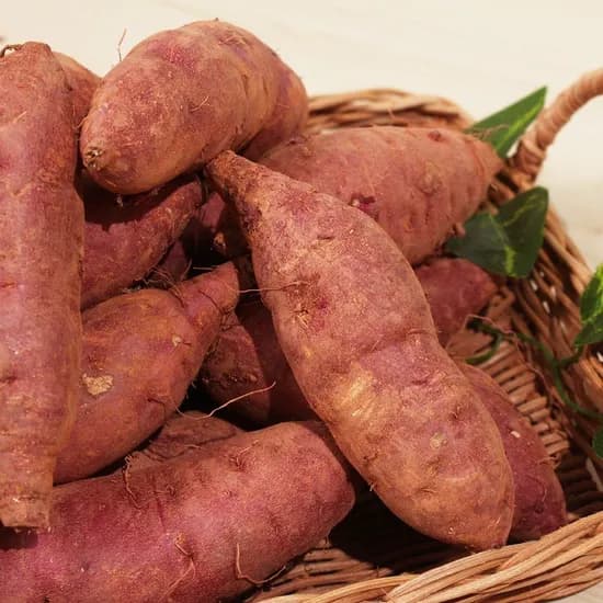 해남 세척 베니하루카 꿀밤고구마 3kg 특상 외 다양