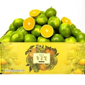 제주 노지 감귤 로얄혼합 2kg 1kg