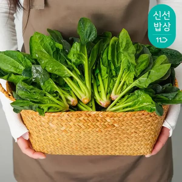 국내산 시금치 1kg 2kg