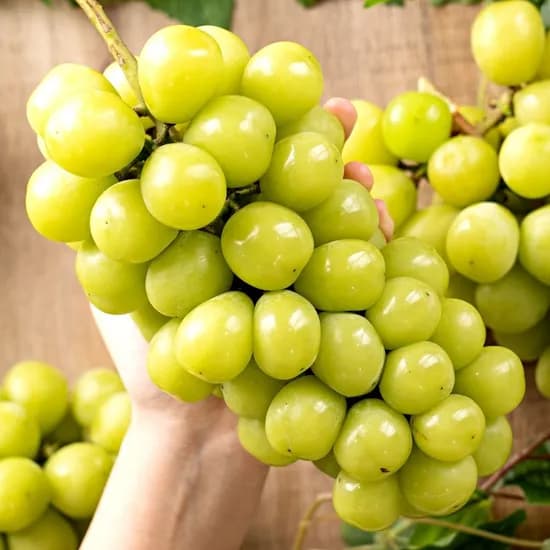 샤인머스켓 2kg