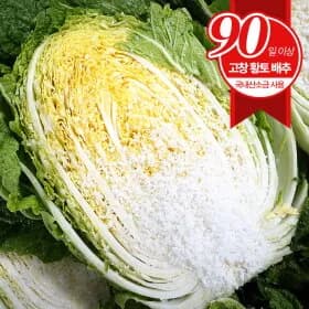 푸르젠 국내산 절임배추 20kg 7~9포기
