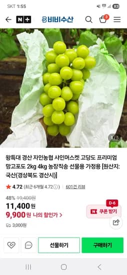비비수산 고당도 샤인머스켓 2kg