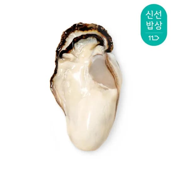 통영산 최상급 통통생굴 1kg