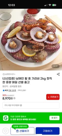 국내산 남해안 활 홍가리비 2kg