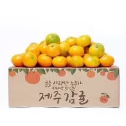 제주 햇 감귤 로열소과 4.5kg