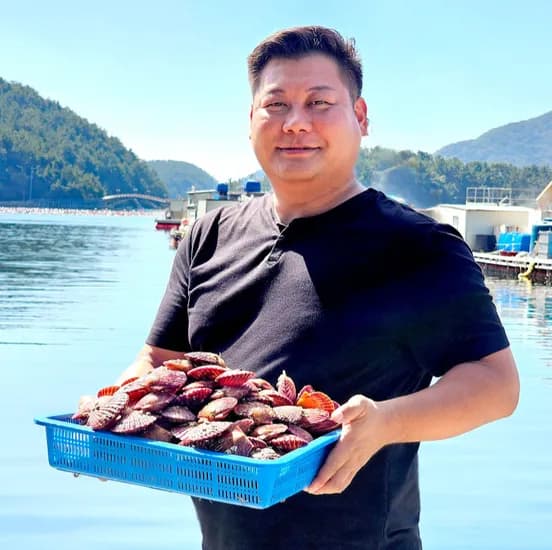 통영 활 홍가리비 3kg