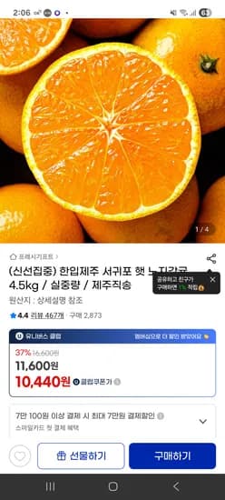 노지감귤 4.5kg
