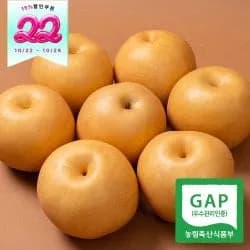 나주배 가정용 5kg 8-9과