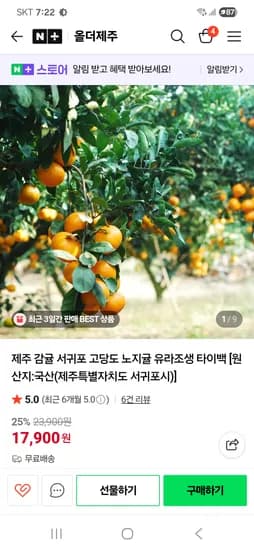 유라조생 노지감귤 5kg