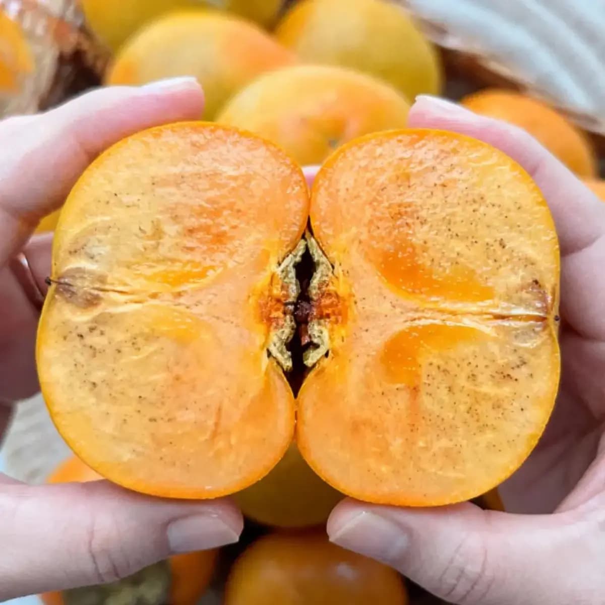 가정용 햇단감 5kg 35과 내외