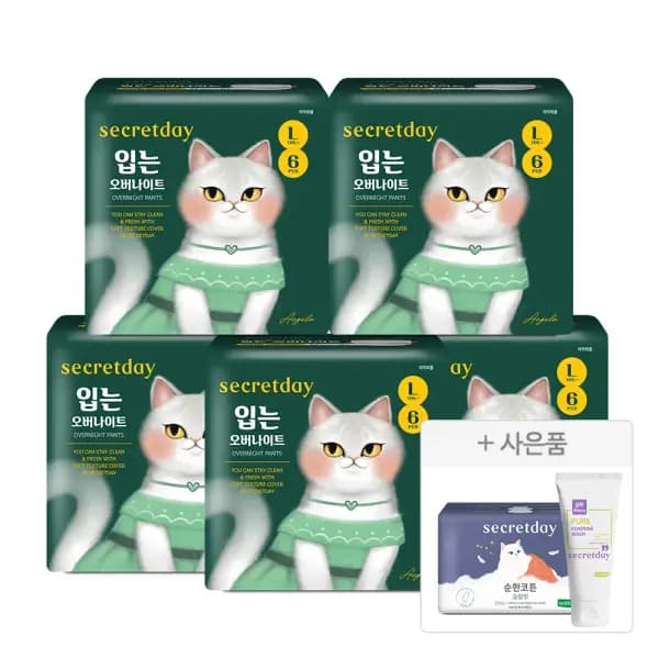 시크릿데이 입는 생리대 6p 5팩