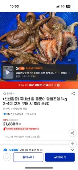 국내산 돌문어 1kg 2-4미
