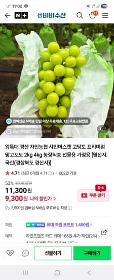 비비수산 고당도 샤인머스켓 2kg