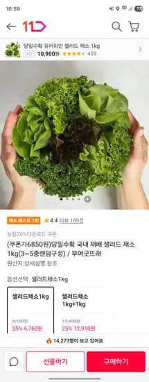 샐러드 채소 1kg 2kg