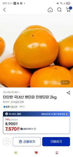 단단한 국내산 햇단감 진영단감 소과 2kg