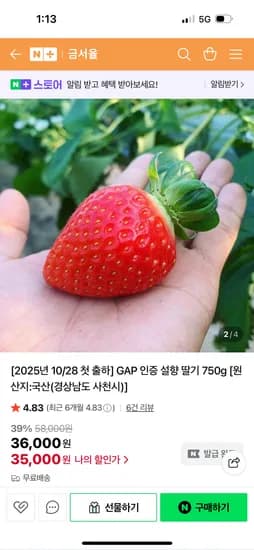 설향 딸기 750g