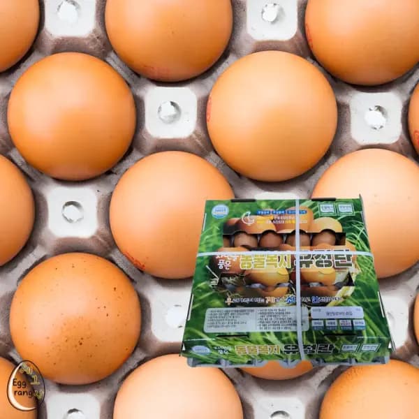 동물복지 유정란 난각번호2번 60구