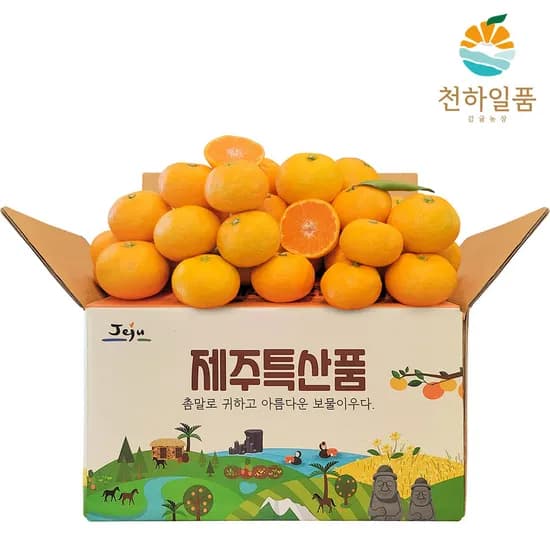 제주 제철 가정용 노지조생 감귤 3kg 로얄중과