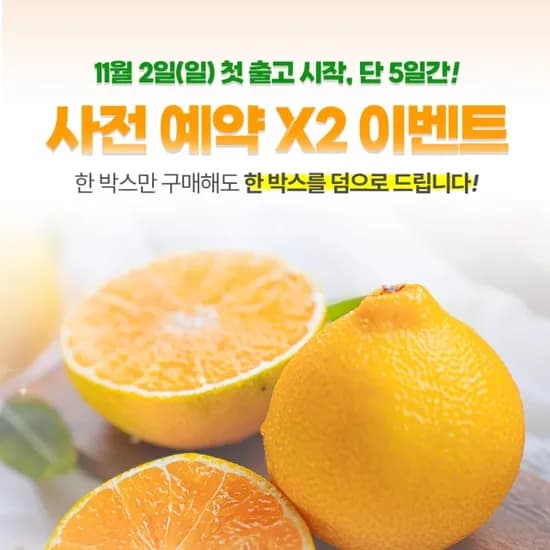 황금향 2.5kg 감귤 대과 2.5kg