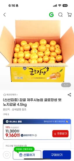 귤로장생 햇 노지감귤 4.5kg 중대과 L-2L