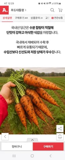 국내산 흙 당근 5kg