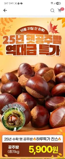 공주밤 중사이즈 1kg