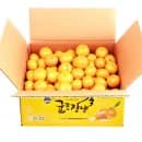 제주시농협 귤로장생 햇 노지감귤 9kg