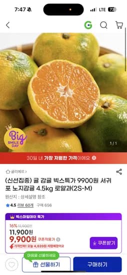 서귀포 노지감귤 4.5kg 로얄과 2S-M