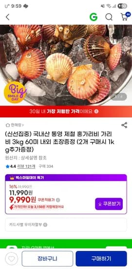국내산 제철 통영 홍가리비 초장증정