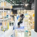 챔피언 1250 블랙벨트