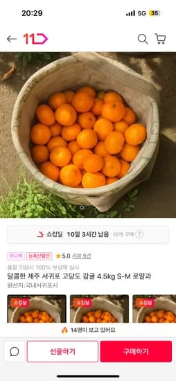 제주 고당도 감귤 4.5kg S-M 로얄과